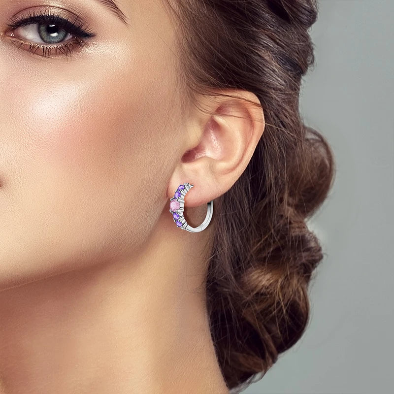 New 925 Sterling Silver Sparkling Zircon Four-Leaf clover Women Earrings Brilliant Wedding Engagement Star Earrings Jewelry Gift